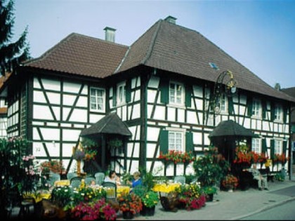 Foto: Die Sonne
