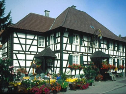 Foto: Die Sonne